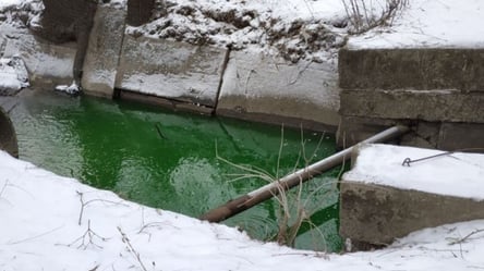 У Києві позеленіла річка Сирець, експерти взяли пробу води - 285x160