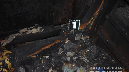 Ревнивець забив друга до смерті і спалив у його ж будинку під Києвом. Відео - 285x160