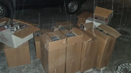 Одесские таможенники изъяли 6 тысяч пачек сигарет на почти 3,5 тысячи долларов. Фото - 285x160