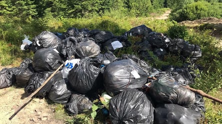 Очередной скандал с мусором: на Львовщине община протестует против обустройства свалки возле нацпарка - 285x160