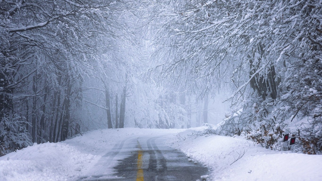 В Україні буде вітряно та сніжно - прогноз синоптика на 27 січня