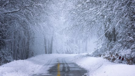 Вітряно та зі снігом: синоптикиня спрогнозувала погоду в Україні 27 січня - 285x160