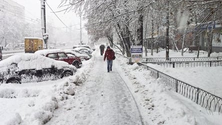 Надвигается снегопад: какая погода ожидает киевлян 27 января. Фото - 285x160