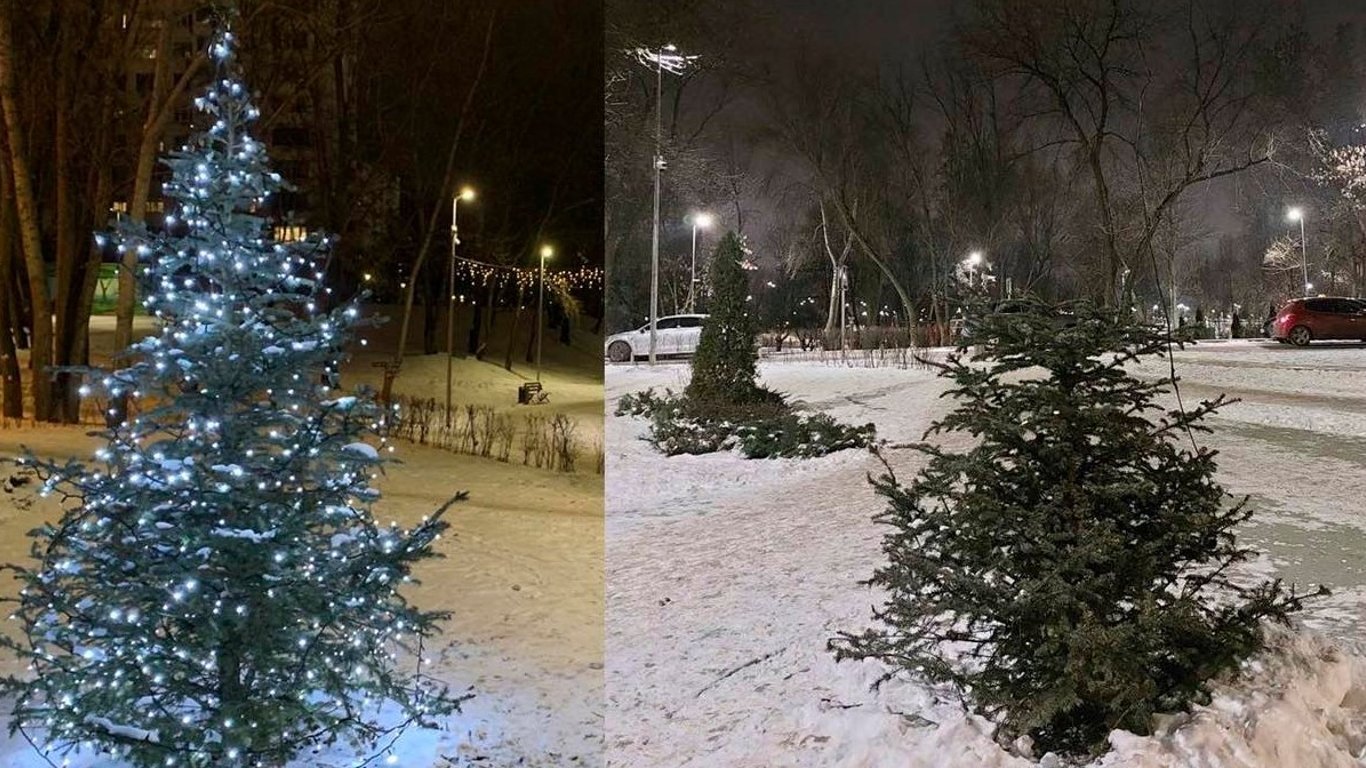 Вандализм Киев - сломали елку в местном парке Троещины - фото