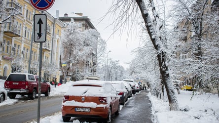 У Києві на елітне авто причепили роги. Фото - 285x160