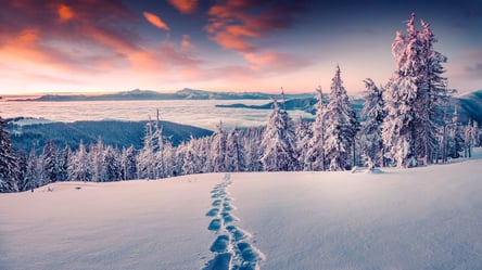 Снігопади будуть у всіх регіонах: прогноз погоди на 28 січня в Україні - 285x160