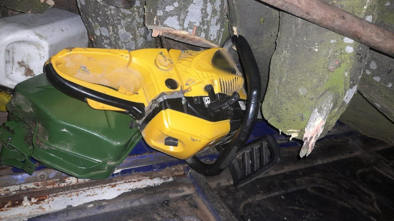 На Одещині за порубку дерев судимуть двох чоловіків