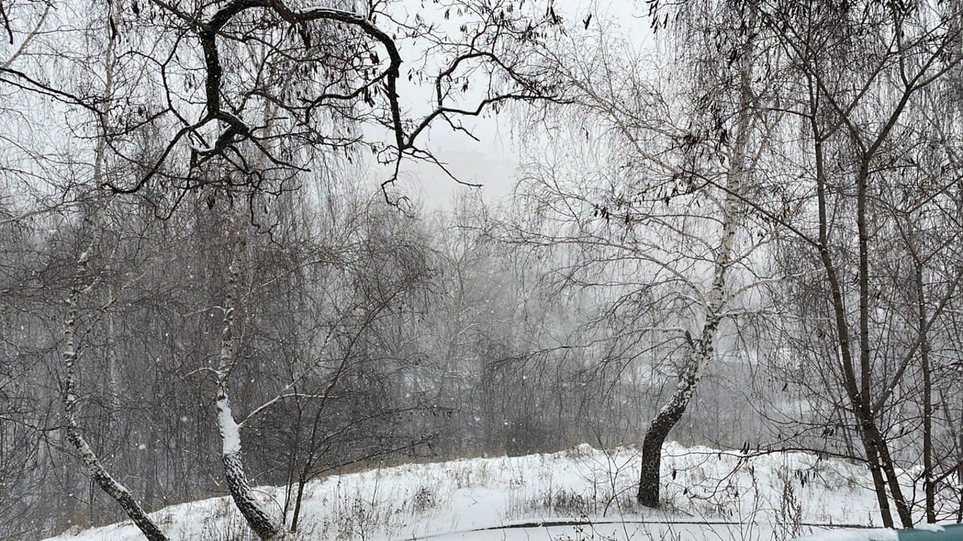 В Украину возвращаются снегопады, мороз и ветер: прогноз погоды на неделю