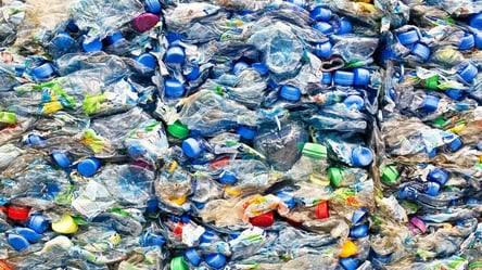 В Киеве можно сдать пластик на переработку: где принимают - 285x160
