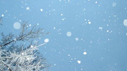 До 13 градусов мороза: какой будет погода в Украине в начале февраля - 285x160