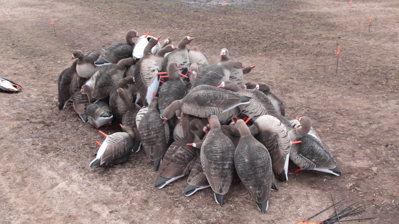 Еколог з Одещини розповів, чому в Україні слід заборонити полювання