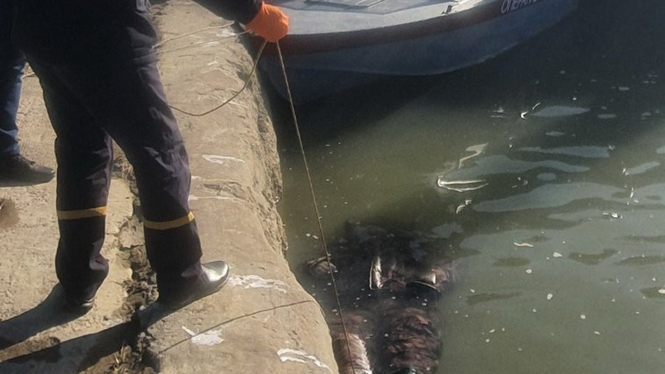 На Одещині у порту знайшли труп рибалки