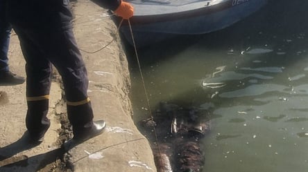 В Одесской области в порту нашли труп рыбака: что известно - 285x160