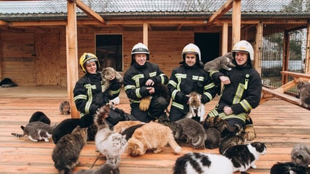 Рятувальники Київської області влаштували з тваринами милу фотосесію - 285x160