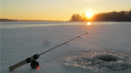 В Киевской области браконьеры наловили рыбы на 75 тысяч гривен. Фото - 285x160
