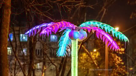 Необычная яркая пальма в Харькове вызвала восторг сети. Фото - 285x160