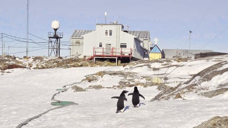 Троє харків’ян вирушать в експедицію до Антарктиди. Хто саме - 285x160