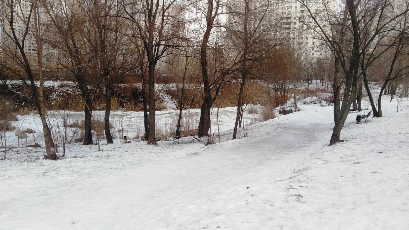 Дарницкий район Киева: коммунальщики очистят озеро Вулык и благоустроят территорию