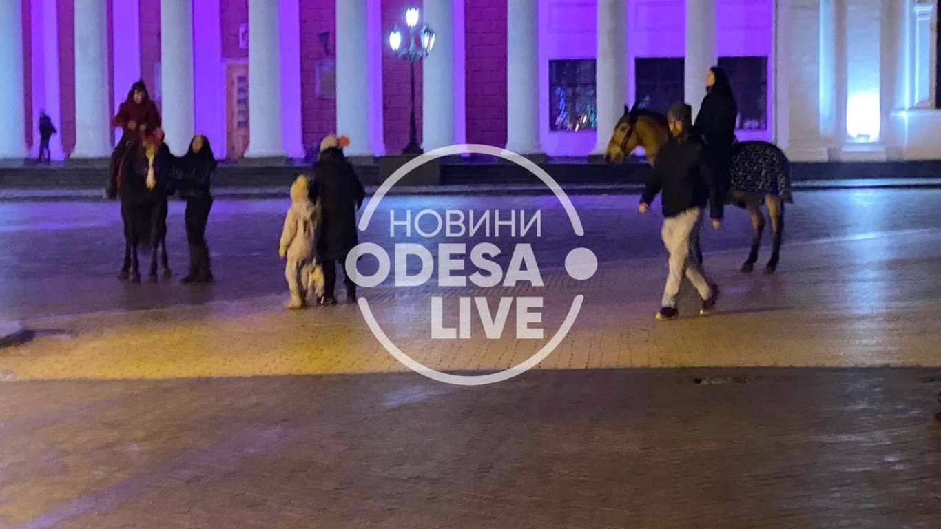 В Одесі навіть взимку експлуатують тварин