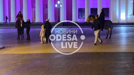 В Одесі навіть взимку експлуатують тварин. Відео - 285x160