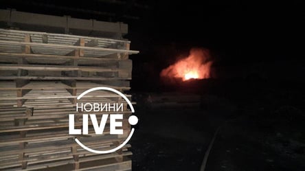 В Киеве произошел масштабный пожар: горела мебельная фабрика. Фото - 285x160