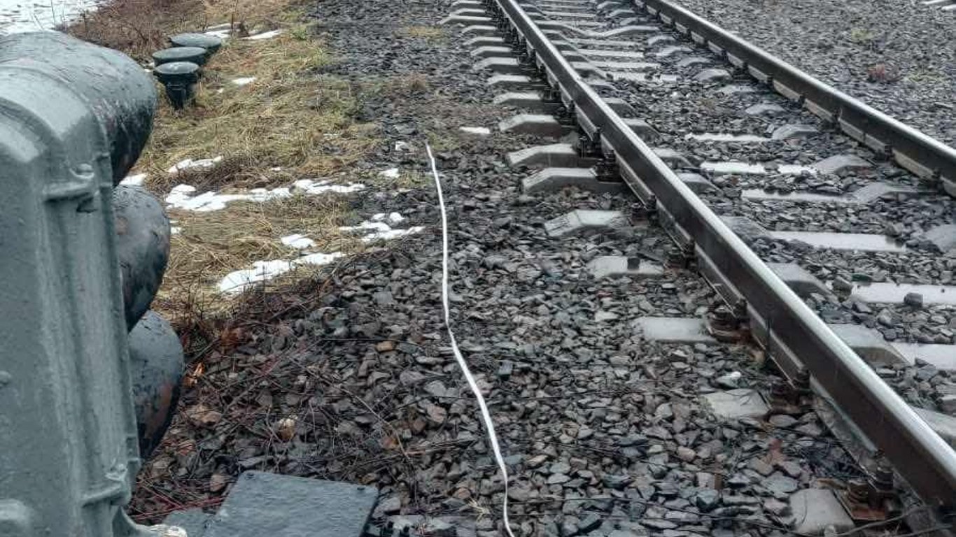 На Львовщине грузовой поезд сбил пьяного пешехода - фото