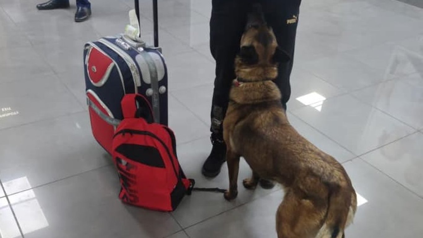 В одесском аэропорту задержали женщину с каннабисом