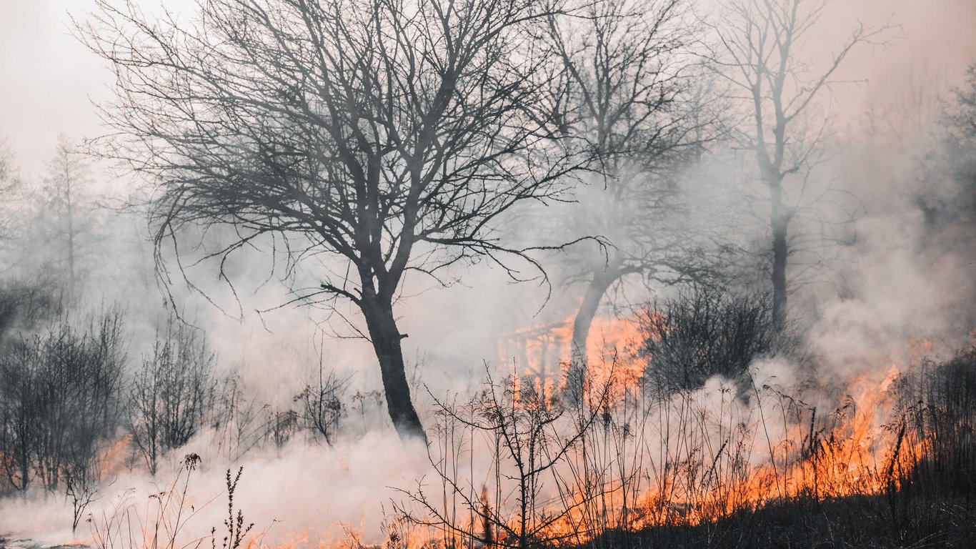 На Одещині згорів гектар трави