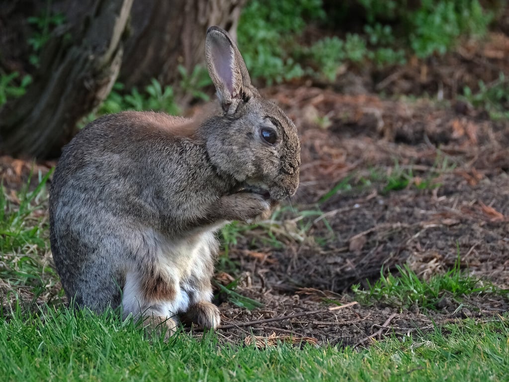 Народні прикмети та традиції на 11 жовтня