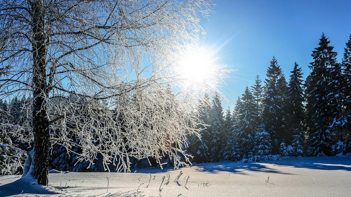 В Украине потеплеет до +10 градусов - прогноз синоптиков