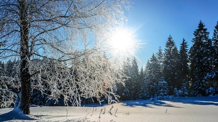 Потеплеет до +10 градусов: синоптики порадовали украинцев "весенним" прогнозом - 285x160