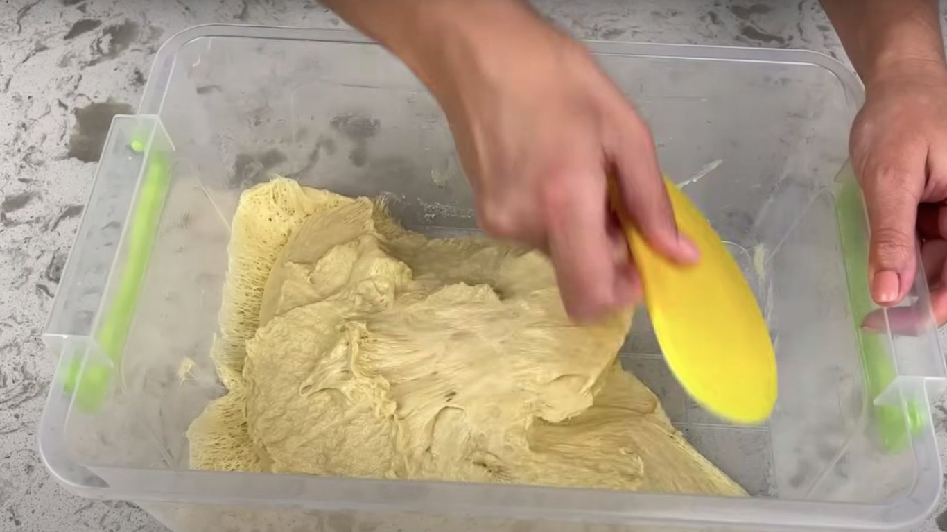 панеттоне за рецептом переможниці МастерШеф Лізи Глінської