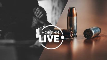 В Украине впервые создали реестр оружия: что известно - 285x160
