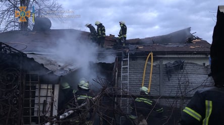 Крупный пожар в Харькове: спасателям пришлось тушить сразу несколько домов в одном из районов. Фото - 285x160
