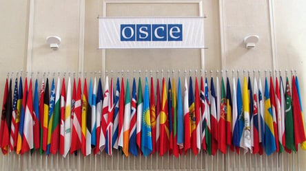 Польша созывает внеочередное заседание ОБСЕ по запросу Украины - 285x160