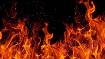 В пожаре во львовской многоэтажке едва не сгорела 83-летняя бабушка - 285x160