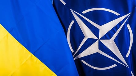 НАТО скликає екстренний розширений саміт через війну в Україні: Київ не запросили - 285x160