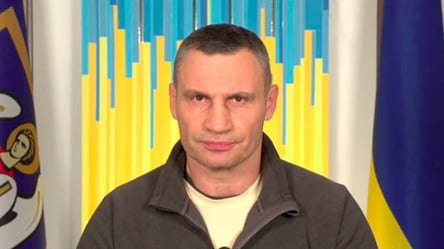 Кличко назвал количество погибших и раненых в Киеве - 285x160