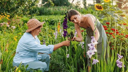 Гарантовано пишне цвітіння — добрива для гладіолусів - 285x160