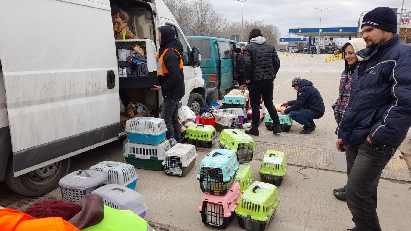 Волонтери вивезли з Одеси до Чехії 60 тварин