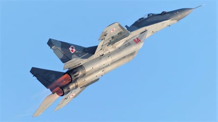 Польша готова передать истребители МиГ-29 в распоряжение США: при каких условиях - 285x160