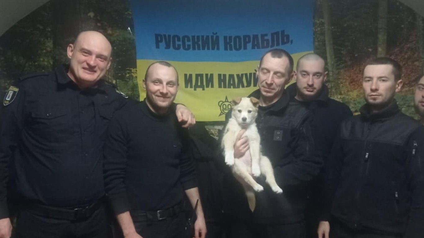 У полицейских Киева пополнение - щенок по кличке  Байрактар - фото
