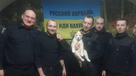 У полицейских Киева пополнение - щенок по кличке "Байрактар". Фото - 285x160