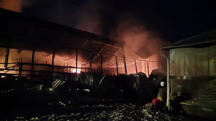 В Харькове из-за обстрелов горело здание автогенного завода. Фото - 285x160