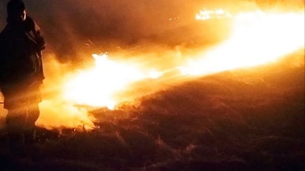 В Одесской области возле поселка горела сухая трава - 285x160