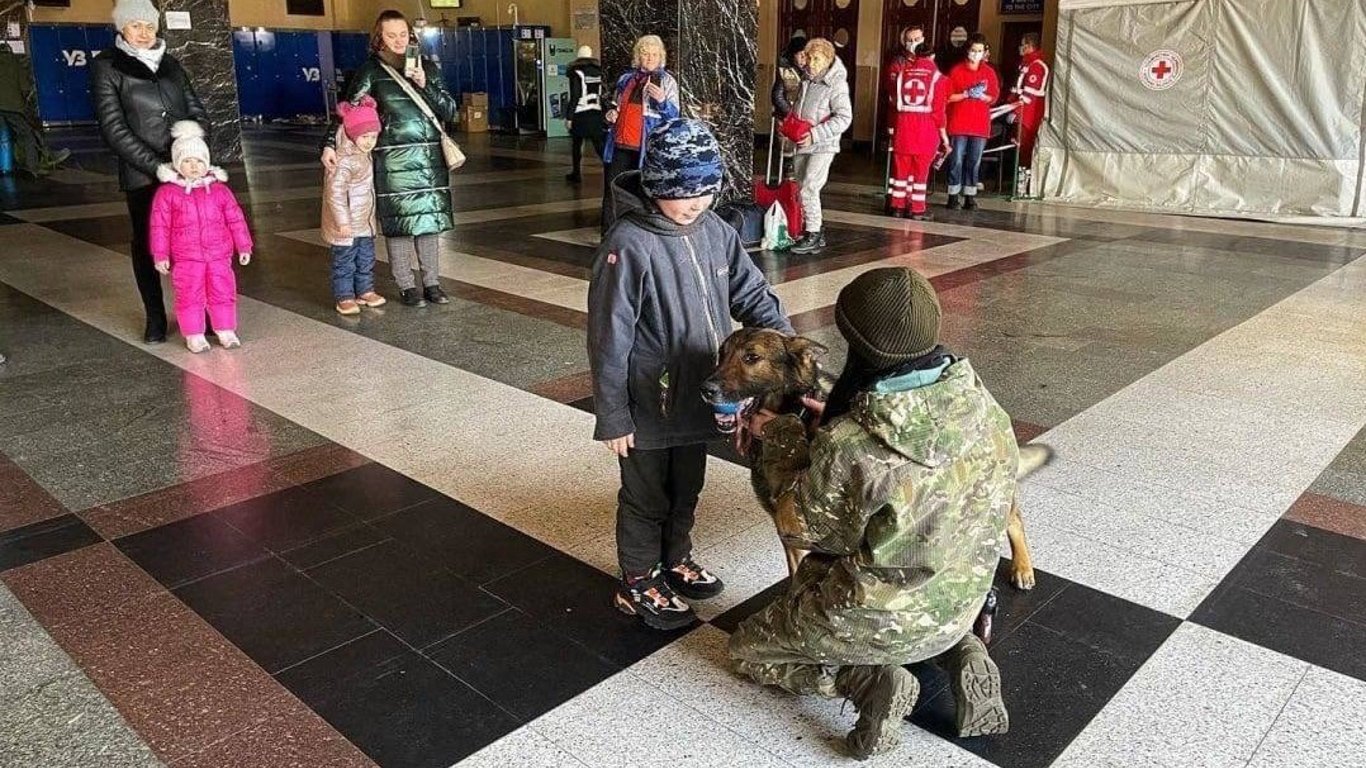 Кинологи с собаками на киевском вокзале спасают детей от ужасов войны