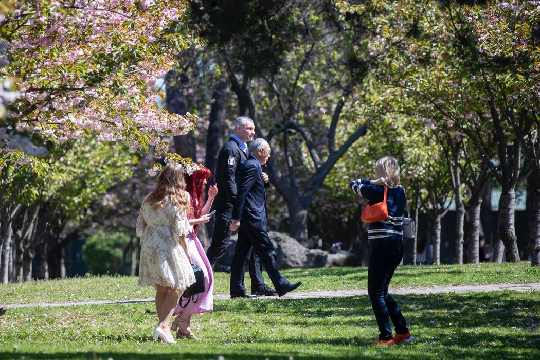  Оновлений сад каменів у парку "Кіото"