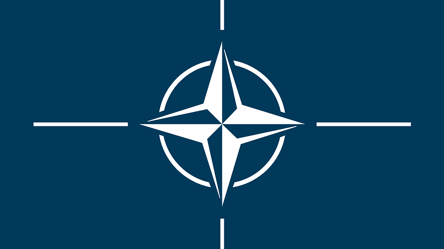 НАТО рассмотрит введение миротворческой миссии в Украину, - премьер Польши - 285x160