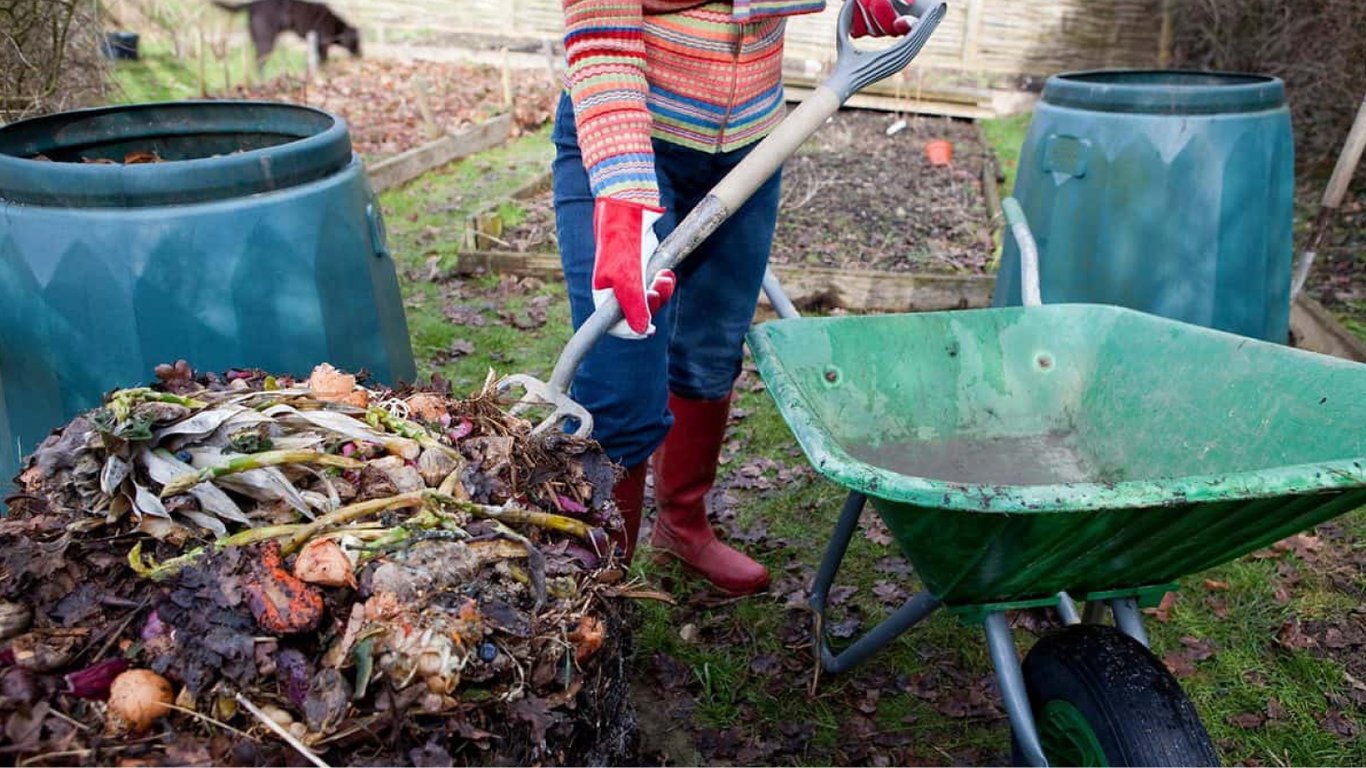 Що не можна додавати до компосту — список небезпечних відходів