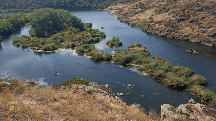 На Николаевщине предприятие сбрасывает загрязненные воды в Южный Буг - 285x160